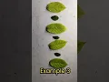 Examples of Repeating Pattern