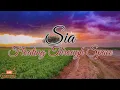 SIA FT DAVID GUETTA -  FLOATING THROUGH SPACE (LYRICS)