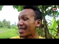 Download Lagu KERJA DEMI CINTA || FILM PENDEK #CINGIRE