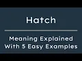 What Does Hatch Mean Hatch Meaning in English With 5 Example Sentences