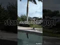 how to do a pool deck water line mosaic tiles blue Cisco flooring supplies