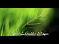 Download Lagu Jili Band - Tak selalu indah