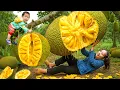 Download Lagu Single mom Harvests jackfruit to sell \u0026 Cook nutritious porridge for my son
