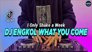 Download DJ ENGKOL WHAT YOU CAME X TEKI GAN PARGOY TIKTOK VIRAL REMIX FULL BASS 2022 | DJ I ONLY SHAKE A WEEK MP3