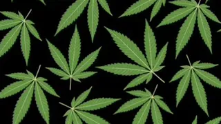 Papi Chulo Lorna Reggaeton Clasicc 