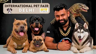 Bully ne socha nhi tha ki ye sab hoga Delhi dog show mei 😱