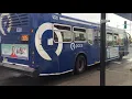Pace Bus 2012-2018 Eldorado National Axess BRT 6331 on Rt 305 CTA 2014 Nova Bus LFS 8150 on Rt 54