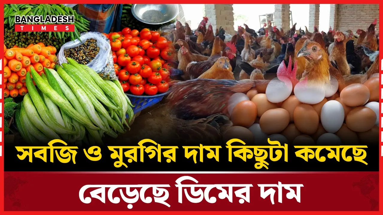 ৫০ টাকার নিচে বেশির ভাগ সবজি, কিছুটা কমেছে ডিম ও মুরগির দাম