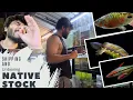 Download Lagu SUPER AMAZING UNBOXING AND SHIPPING DAY (Vlog 30)  AQUAVILLA