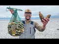 GIANT Alaska RAZOR CLAMS Catch Clean Cook Ocean Foraging