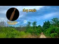Instrumen Sape musik Khas Dayak Borneo (Free No Copyright music)