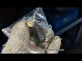 graco x5 airless paint sprayer accessories graco texture sprayer parts China supplier cheapest OEM