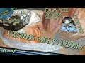 My Snakes are in Shed - A Basic Beginners Guide to Shedding
