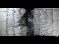 Watch antibiotic resistance evolve Science News