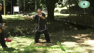 Qi gong Martial