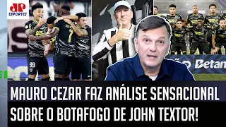 DEU AULA! "ESSA É A REALIDADE! O Botafogo HOJE é o clube de SUCESSO do..." Mauro Cezar FALA TUDO!