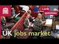 Download Lagu UK jobs market under scrutiny in Lords questions
