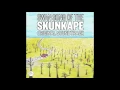 Danny Wolfers - Swan song of the Skunkape