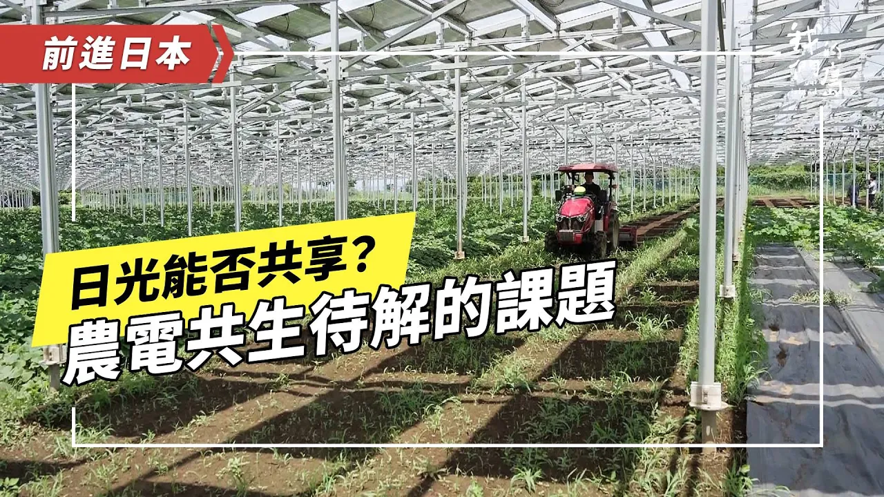 Outline Video 《日光能否共享?》中:農作物在光電板下長得好嗎?日本也有假種田、真種電的亂象嗎? (公視我們的島 第1284集 2024-12-02)