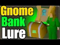 AFK Gnome Pickpocket Guide 10 Medium Clues Hr 150k Xp
