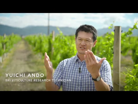 Evaluating water use efficiency and drought tolerance of various rootstocks