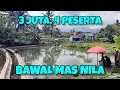 Download Lagu 3 JUTA 4 PESERTA‼️BAWAL BESAR-BESAR 1 KG UP MAS DAN NILA