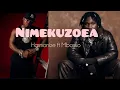 Download Lagu Harmonize Ft Mbosso _Nimekuzoea (Offical_Audio)
