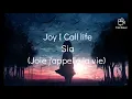 Download Lagu Sia. Joy I Call life (Traduction Française)