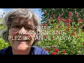 Lagu ZO HEB JE MAANDENLANG PLEZIER VAN JE SALVIA’S
