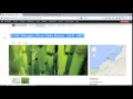 Drupal how to use the automatic node title module