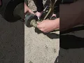 How to take off Husqvarna weedeater heads