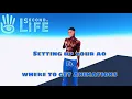 NEW How to Move in Second Life - Setting Up Your AO Where to Get Animations