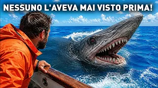 Questo antico predatore marino si avvicina agli umani