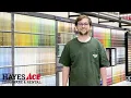 Hayes Ace -