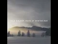 Rays of Winter Sun