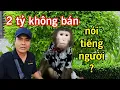 Download Lagu Độc Lạ Sài Gòn đi xác minh vụ chú khỉ biết nói ở Bình Dương xem thực hư ra sao