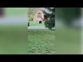 Black bear seen running through Elk River Minnesota neighborhood Wednesday morning FOX 9 KMSP