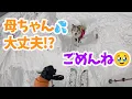 Download Lagu 【愛犬との絆】転けるたびに戻って来ては待ってくれるタナが愛しすぎました🥹