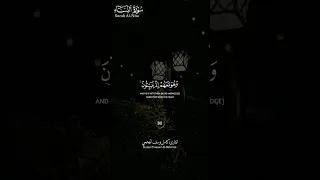 سورة النساء حالات واتس قرآن القارئ كامل يوسف البهتيمي 