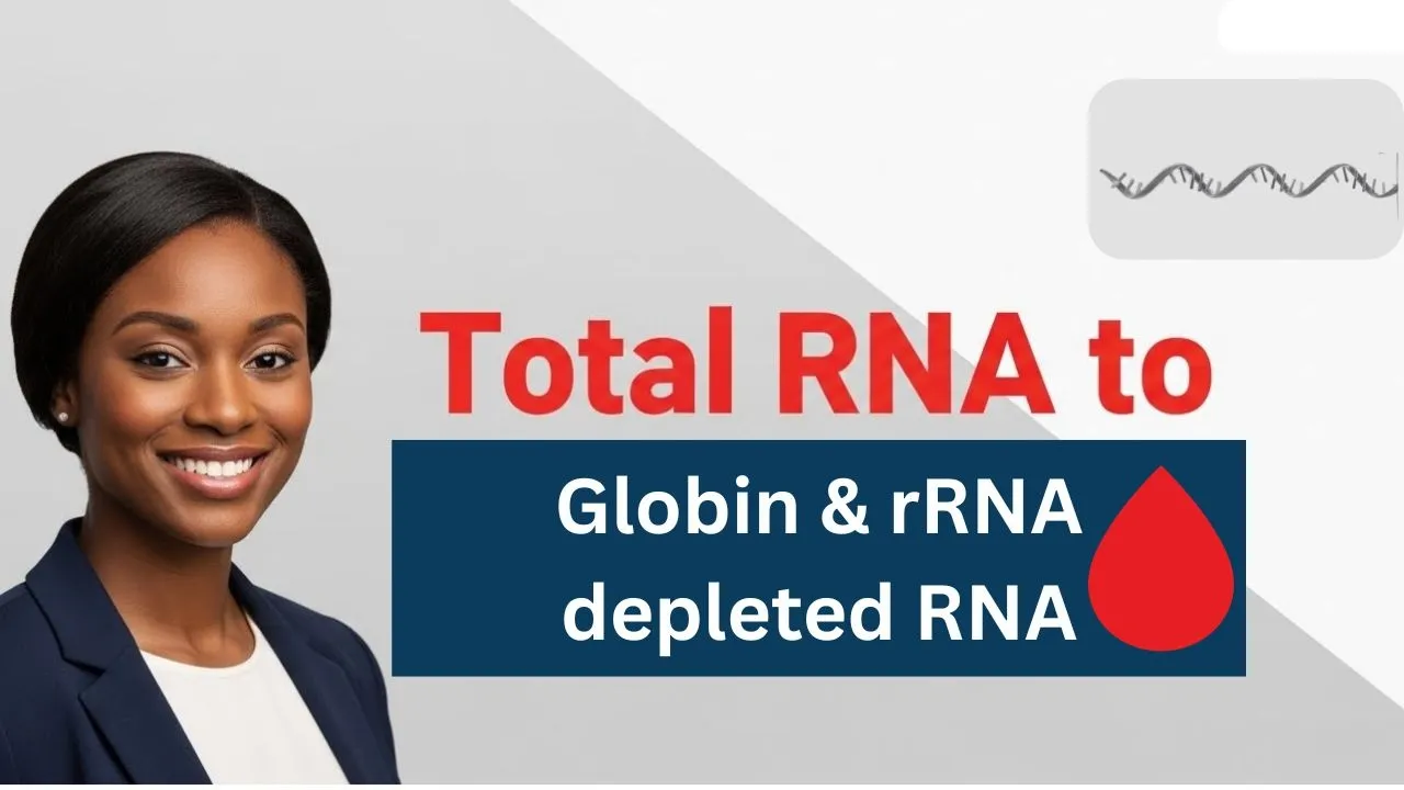 mRNA Purification with GLOBIN RNA DEPLETION: Remove Blood Contamination Before cDNA