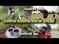 Lagu यावर्षीच्या शेतावरच्या शेवटच्या काकड्या - गावचे जीवन | Konkan Village Life Vlog | Kokankar Avinash