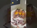 Download Lagu Cute Video #reels2023 #reelsviral #reels #viralvideo #reelsfb #reelsvideo #reelsviralシ #virals
