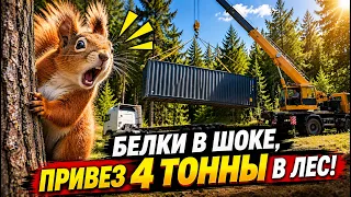 ✅ ДОМ ИЗ МОРСКОГО КОНТЕЙНЕРА | ЗАВОЗ | Точка СТАРТА!