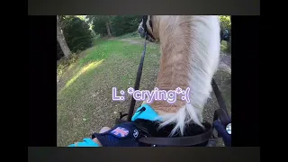 What do you think about this situation? ( subtitled )