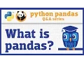What is pandas Introduction to the Q A series