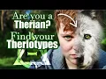 GUIDE FIND OUT if you are a THERIAN your THERIOTYPES Therianthropy