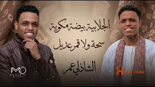 الشاذلي عمر    الجلابية بيضاء مكويه   سمحه ولا قمر عديل    اغاني سودانيه                  دندنها