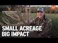 Small Acreage Big Impact Habitat Strategies That Work Wired to Hunt Ep 892