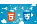 Web Design Class-49 HTML-CSS Css part-19 position Overflow