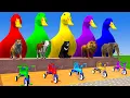 Download Lagu Long Slide Game With Cow Elephant Gorilla Hippopotamus Tiger 3d Animal Game Funny 3d Animals